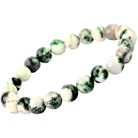 PhotoRoom-20230702_130119 Tree Agate Bracelet - 8 mm - Image 1