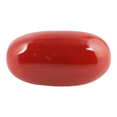 Red Coral Stone - Select Your Carat