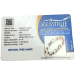 Tree Agate Bracelet - 8 mm - Image 2