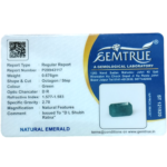 Emerald (Panna) - 3.38 Carat (3.71 Ratti) - Origin - Zambia - Image 2