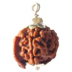 Natural Ganesh Mukhi Nepal Rudraksha Pendant in Pure Silver (Bead Size:17-19 MM) - Image 2