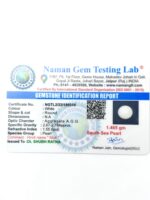 South Sea Pearl (Moti) - 7.32 Carat (8.04Ratti) - Image 2