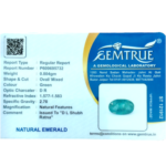 Emerald (Panna) - 4.02 Carat (4.41 Ratti) - Origin -Zambia - Image 2