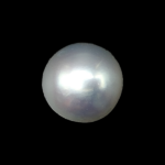 South Sea Pearl (Moti) - 5.97 Carat (6.56 Ratti)