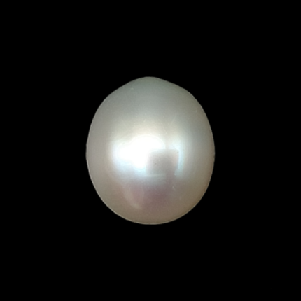 South Sea Pearl (Moti) - 5.49 Carat (6.03 Ratti)