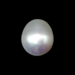 South Sea Pearl (Moti) - 5.86 Carat (6.44 Ratti)