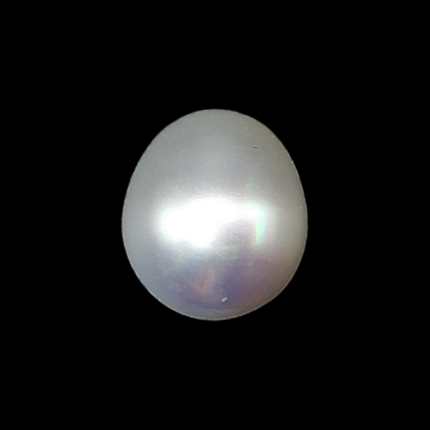 South Sea Pearl (Moti) - 5.86 Carat (6.44 Ratti)