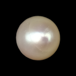 South Sea Pearl (Moti) - 8.75 Carat (7.97 Ratti)