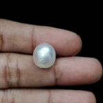 South Sea Pearl (Moti) - 9.34 Carat (10.26 Ratti) - Image 4