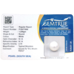 South Sea Pearl (Moti) - 6.28 Carat (6.90 Ratti) - Image 2