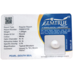 South Sea Pearl (Moti) - 6.47 Carat (7.11 Ratti) - Image 2