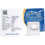 South Sea Pearl (Moti) - 7.09 Carat (7.79 Ratti) - Image 2