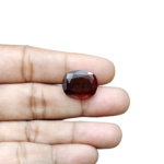 Hessonite (Gomed)- 11.69 Carat (12.84 Ratti) - Origin - Africa - Image 4