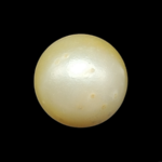 South Sea Pearl (Moti) - 9.76 Carat (10.73 Ratti)
