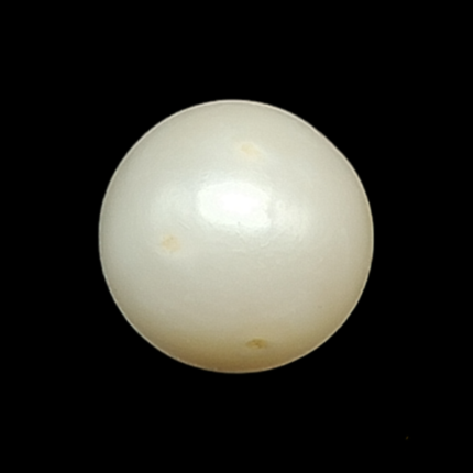 South Sea Pearl (Moti) - 7.0 Carat (	7.69 Ratti)