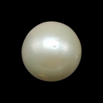South Sea Pearl (Moti) - 10.74 Carat (11.80 Ratti)