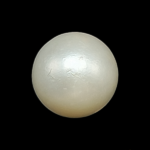 South Sea Pearl (Moti) - 6.22 Carat (6.84 Ratti)