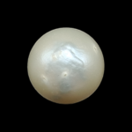 South Sea Pearl (Moti) - 9.2 Carat (10.10 Ratti)