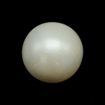 South Sea Pearl (Moti) - 9.16 Carat (10.06 Ratti)