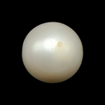 South Sea Pearl (Moti) - 7.80 Carat (8.57 Ratti)