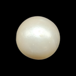 South Sea Pearl (Moti) - 5.07 Carat (5.57 Ratti)