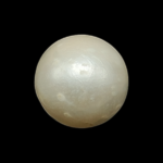 South Sea Pearl (Moti) - 9.25 Carat (10.16 Ratti)