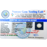 South Sea Pearl (Moti) - 8.92 Carat (9.80 Ratti) - Image 2