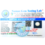 South Sea Pearl (Moti) - 5.07 Carat (5.57 Ratti) - Image 2