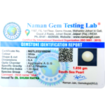 South Sea Pearl (Moti) - 9.25 Carat (10.16 Ratti) - Image 2