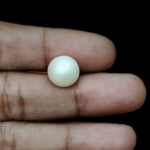 South Sea Pearl (Moti) - 7.0 Carat (	7.69 Ratti) - Image 3
