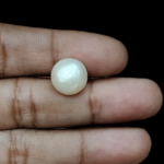 South Sea Pearl (Moti) - 8.92 Carat (9.80 Ratti) - Image 3