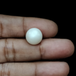 South Sea Pearl (Moti) - 9.16 Carat (10.06 Ratti) - Image 3