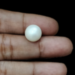 South Sea Pearl (Moti) - 7.80 Carat (8.57 Ratti) - Image 4