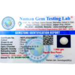 South Sea Pearl (Moti) - 8.3 Carat (9.12 Ratti) - Image 2