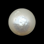 South Sea Pearl (Moti) - 8.72 Carat (9.58 Ratti)