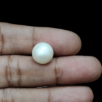 South Sea Pearl (Moti) - 7.12 Carat (7.82 Ratti) - Image 4