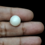 South Sea Pearl (Moti) - 8.3 Carat (9.12 Ratti) - Image 4