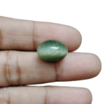 Cat's Eye (Lahsuniya) - 8.15 Carat (8.96 Ratti) - Origin - India - Image 4