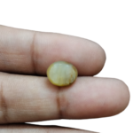 Cat's Eye (Lahsuniya) - 2.9 Carat (3.18 Ratti) - Origin - India - Image 5