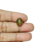 Apatite Cat's Eye (Lahsuniya) - 6.56 Carat (7.21 Ratti) - Origin - India - Image 4