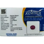 Ruby (Manik)-4.62 Carat (5.08 Ratti)-Origin-Bangkok - Image 2