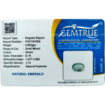 Emerald (Panna)-4.81 Carat (5.29 Ratti)-Origin -Zambia - Image 2