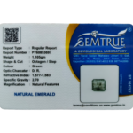 Emerald (Panna)-5.52 Carat (6.07 Ratti)-Origin -Zambia - Image 2