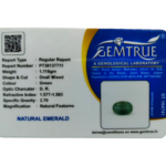 Emerald (Panna)-5.58 Carat (6.13 Ratti)-Origin -Zambia - Image 2