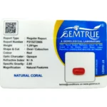 Red Coral Stone-6.45 Carat (7.09 Ratti)-Origin-Italy - Image 2