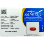 Red Coral Stone-6.68 Carat (7.34 Ratti)-Origin-Italy - Image 2