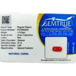 Red Coral Stone-5.65 Carat (6.21 Ratti)-Origin-Italy - Image 2