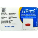 Red Coral Stone-5.69 Carat (6.25 Ratti)-Origin-Italy - Image 2