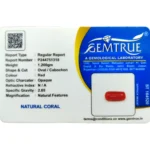 Red Coral Stone-6 Carat (6.59 Ratti)-Origin-Italy - Image 2