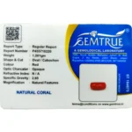 Red Coral Stone-6 Carat (6.59 Ratti)-Origin-Italy - Image 2